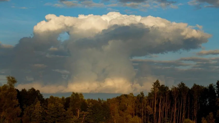 Wildlife photographer working in rain and challenging outdoor weather conditions